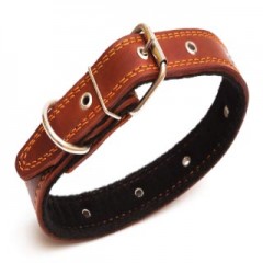Collars & Leads