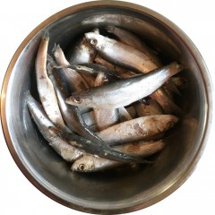 Nutriment: DOG: LITTLE FISH - 100g Nutriment: DOG: LITTLE FISH - 100g