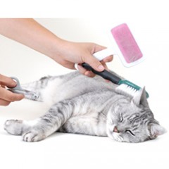 Grooming